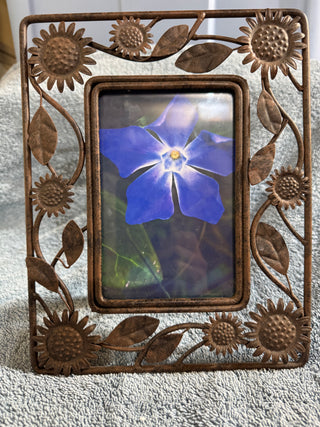Metal Sunflower Brown Frame