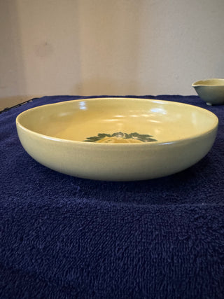 Vtg MCM BrockWare Mango Dinnerware Set