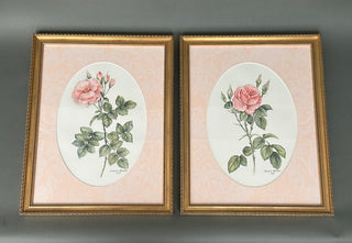 Gallery-Framed Botanical Rose Prints Custom Framed Pair 1989