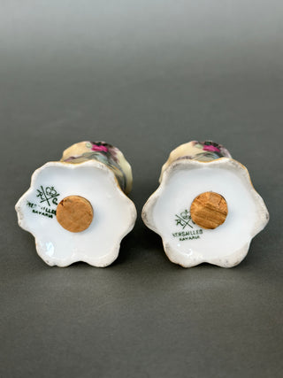 Antique Rosenthal R.C. Versailles Bavaria Hand-Painted Rose Salt & Pepper Shakers, c. 1900s