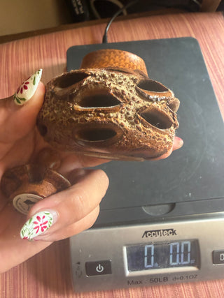 Banksia Seed Pod Handcrafted container approx. 3" X 3"