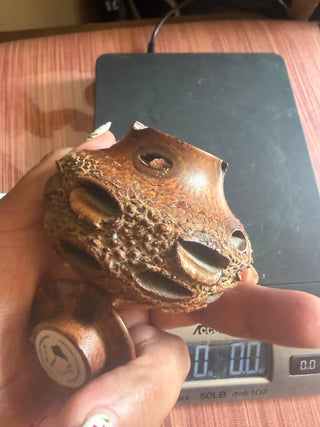 Banksia Seed Pod Handcrafted container approx. 3" X 3"