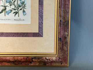 Vintage Ethan Allen Home Collection Framed Botanical Print after Besler's "Hortus Eystettensis" - Bellflowers & Valerian, No. 07-1505 A