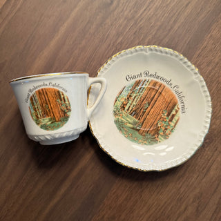 Ca Redwoods Tea Cup & Saucer
