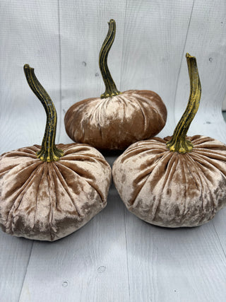 Luxe Champagne Velvet Pumpkin/Small