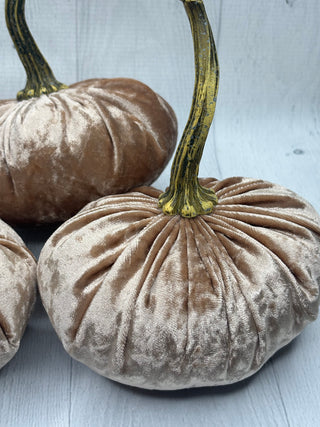 Luxe Champagne Velvet Pumpkin/Small