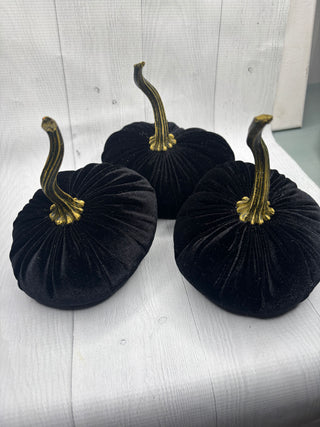 Luxe Black Velvet Pumpkin/Small