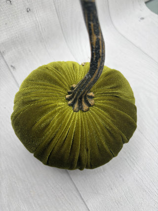 Luxe Avocado Green Velvet Pumpkin/Small