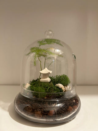 Small Glass Terrarium Cloche with Plant and Charming Pagoda Figurine