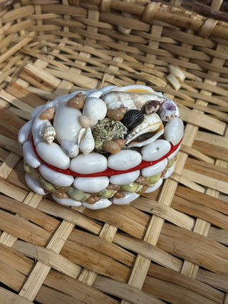 Seashell Trinket Box