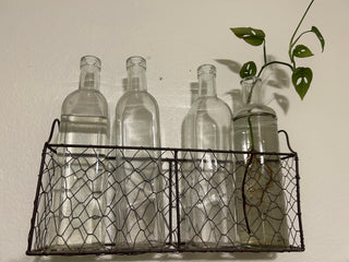 Wire Plant Propagation Station