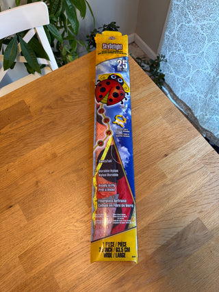 Kids kite SkyDelight, ladybug