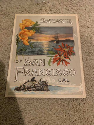 Jd-1926 Souvenir of San Francisco RSV