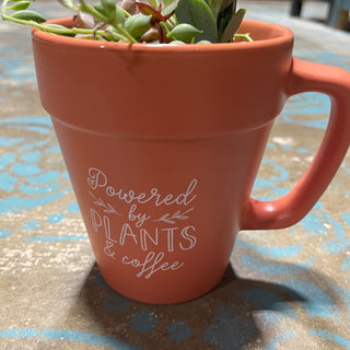 Powered Succulent Plant Mix Orange Mug
