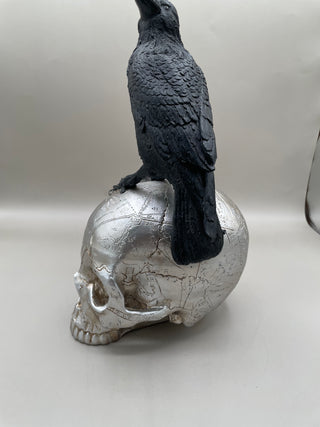 Gothic Raven on Skull