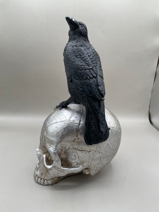 Gothic Raven on Skull