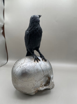 Gothic Raven on Skull