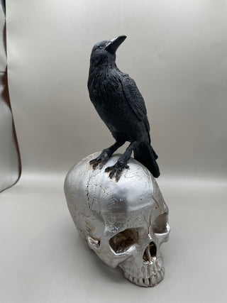 Gothic Raven on Skull
