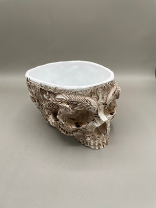 Skull Planter from National Tree Co.