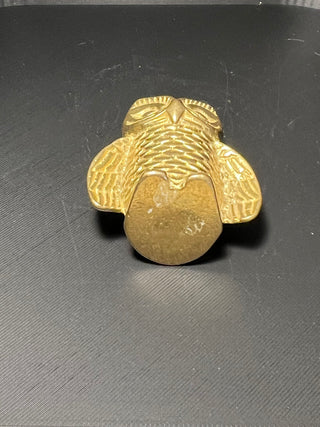 Small Brass Owl, 2"