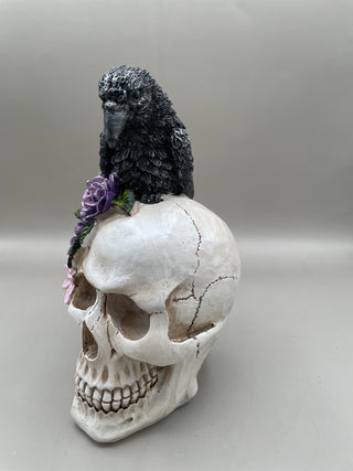 Skull w/ Raven & Flowers