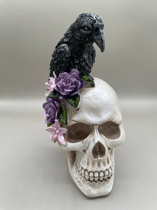 Skull w/ Raven & Flowers