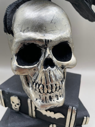 Raven on Skull w/ Potion Books