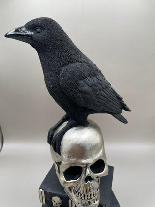 Raven on Skull w/ Potion Books