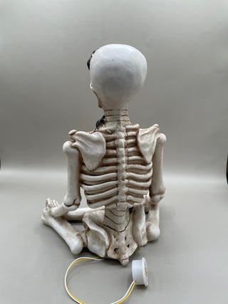 LED Yoga Skeleton