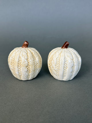 White Pumpkin Salt & Pepper Shakers — Netted Rib Ceramic, Cork Stoppers