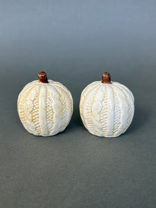 White Pumpkin Salt & Pepper Shakers — Netted Rib Ceramic, Cork Stoppers