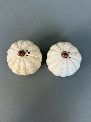 White Pumpkin Salt & Pepper Shakers — Netted Rib Ceramic, Cork Stoppers