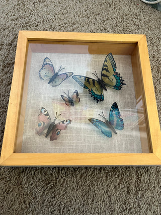 Butterfly Shadow Box