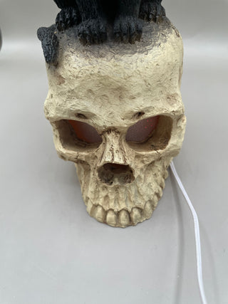 Black Cat On Skull - Lights Up