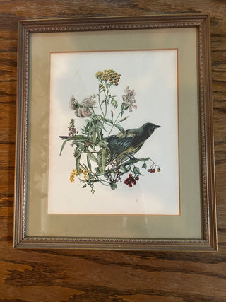 Bird and Botanical Wall Art