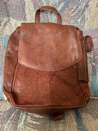 Back pack purse