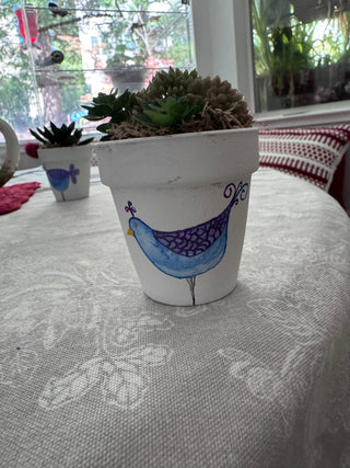 succulent with blue birds