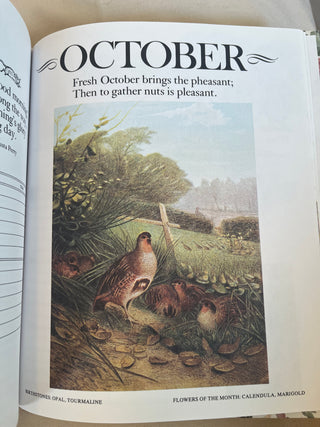 VINTAGE BIRTHDAY BOOK W/LOVELY ILLUSTRATIONS