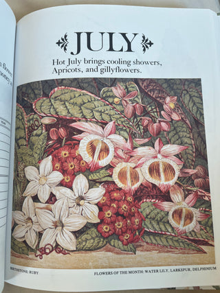 VINTAGE BIRTHDAY BOOK W/LOVELY ILLUSTRATIONS