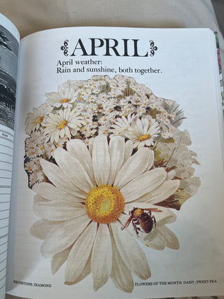 VINTAGE BIRTHDAY BOOK W/LOVELY ILLUSTRATIONS