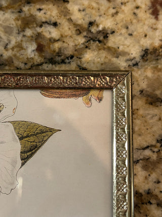 Vintage Bi-Fold Gold Frame, 5”x7”