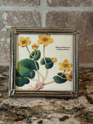 Vintage Square Gold Frame