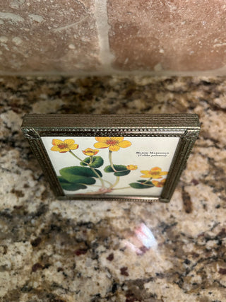 Vintage Square Gold Frame