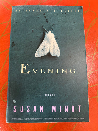 Evening Susan Minot