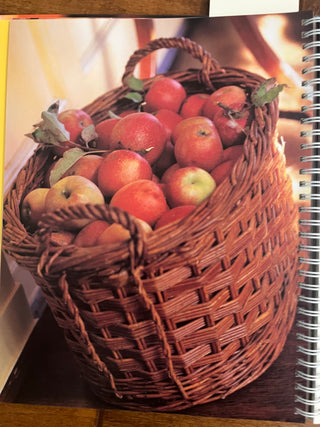 CAROLYNE ROEHM OVERSIZED FALL NOTEBOOK
