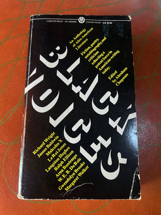 Black Voices: An Anthology of Afro-American Literature