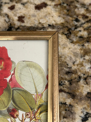 Vintage Gold Frame with Red Botanical