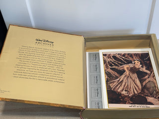 Faux Sleeping Beauty Book