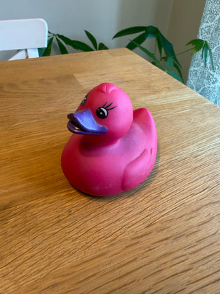Rubber Ducky (Pink & Purple)
