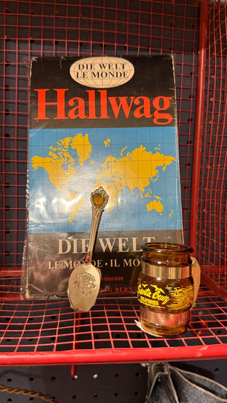 Hallwag World Map 1970 Switzerland Print